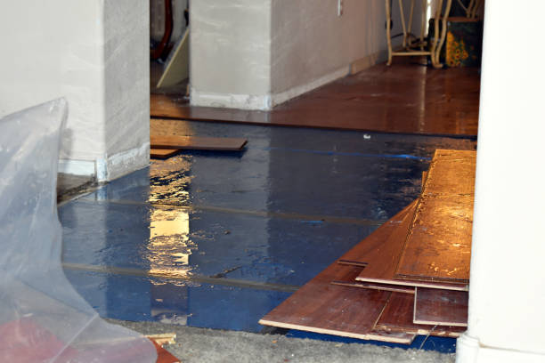 Professional Storm Water Damage Restoration technician working in Round Rock, TX